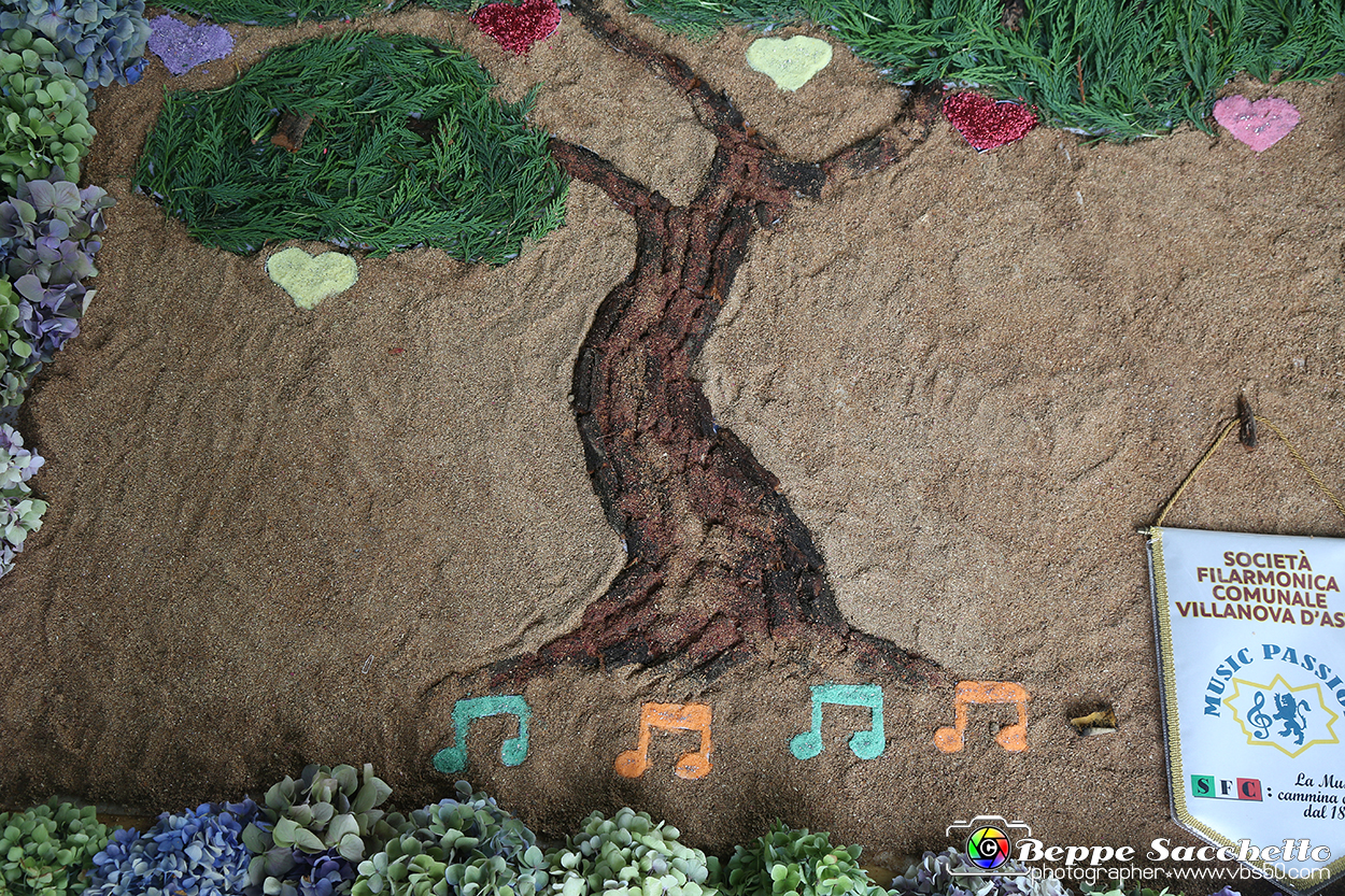 VBS_9661 - Infiorata di Villanova d'Asti 2023.jpg